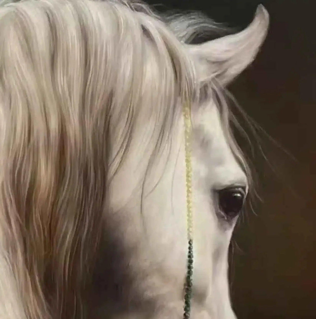 art-animal-cheval-blanc-peinture-huile sur toile - Kikooyou Art Gallery