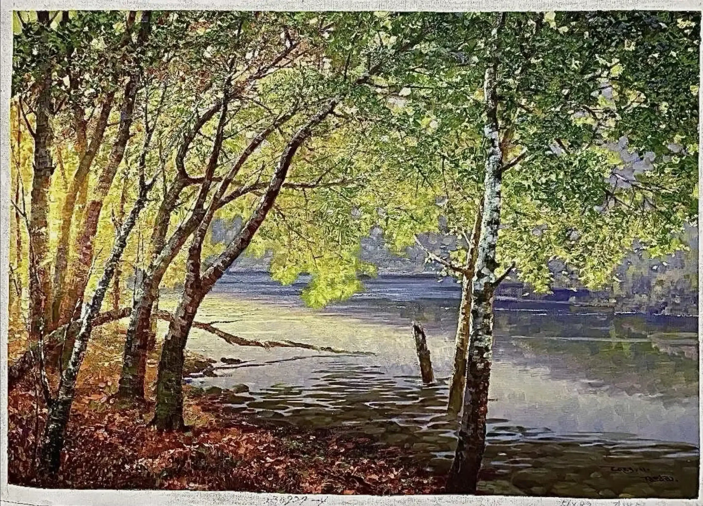 art-paysage-vue-rivage-lac-peinture-huile sur toile - Kikooyou Art Gallery