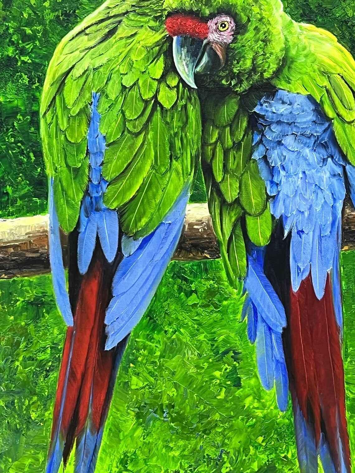 Perroquet 46 x 72 cm ORIGINAL HANDMADE huile sur toile Peinture à l’huile peinte à la main - Kikooyou Art Gallery