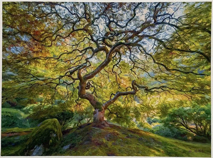art-nature-paysage-foret-arbre-Peinture à l'huile sur toile-originale