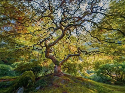 art-nature-paysage-foret-arbre-Peinture à l'huile sur toile-originale