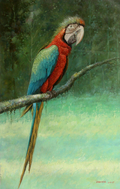 art-animal-oiseau-perroquet-ara-peinture-huile sur toile