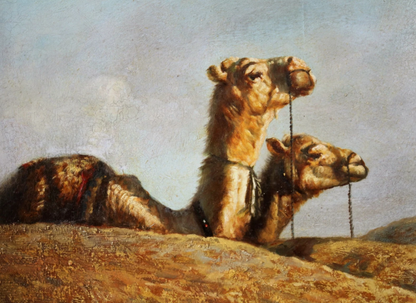 art-animal-dromadaire-orientaliste-sahara-arabe-peinture-huile-toile